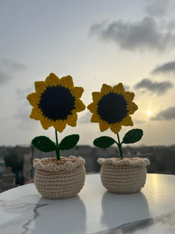 Sunny Hand-Crocheted Sunflower Pot 🌻