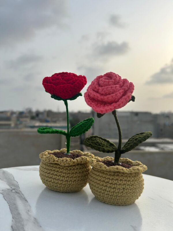🌹✨Handcrafted Crochet Rose Pots - Everlasting Blooms