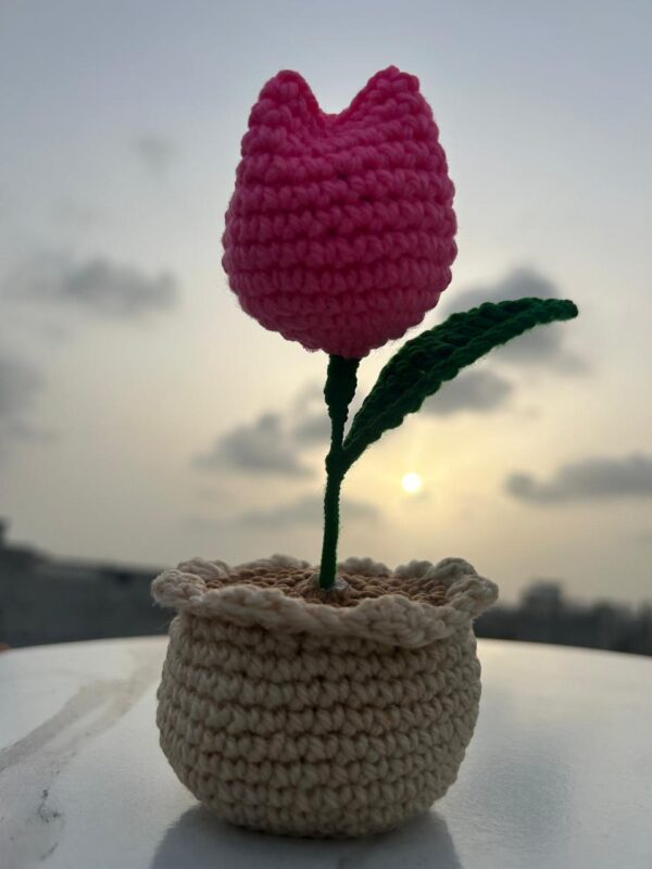 Hand-Crocheted Blossom Pot 🌸