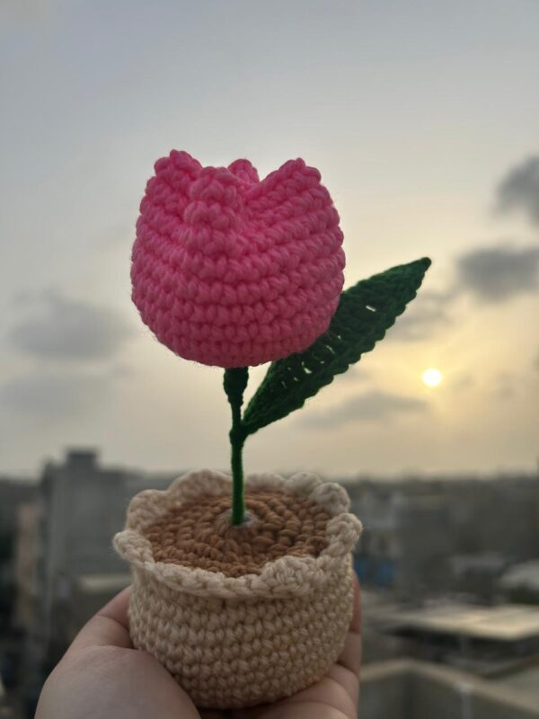 Hand-Crocheted Blossom Pot 🌸