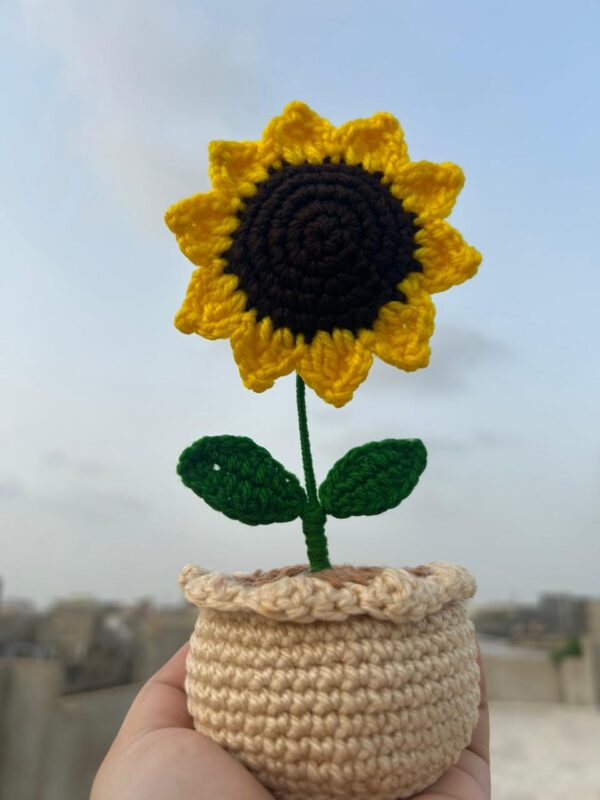 Sunny Hand-Crocheted Sunflower Pot 🌻