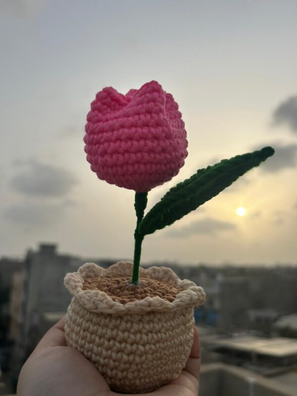 Hand-Crocheted Blossom Pot 🌸