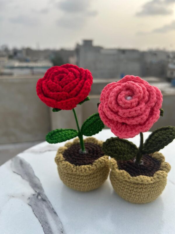 🌹✨Handcrafted Crochet Rose Pots - Everlasting Blooms